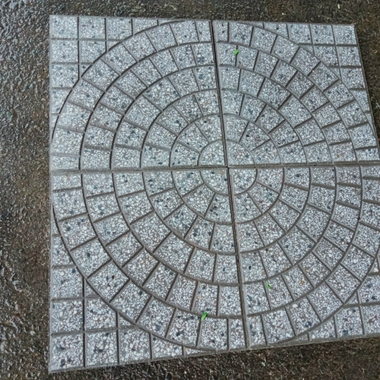 Gạch Terrazzo Cánh Quạt